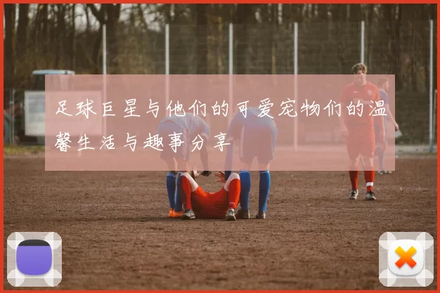 足球巨星与他们的可爱宠物们的温馨生活与趣事分享