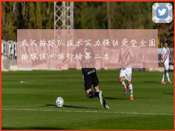 武汉排球队技术实力强劲荣登全国排球技术排行榜第二名