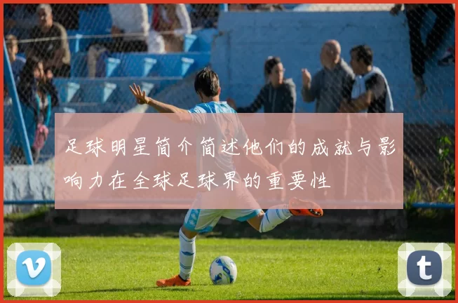 足球明星简介简述他们的成就与影响力在全球足球界的重要性