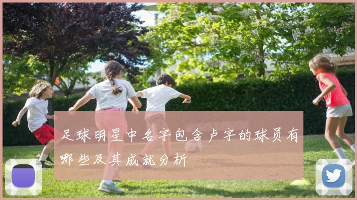 足球明星中名字包含卢字的球员有哪些及其成就分析