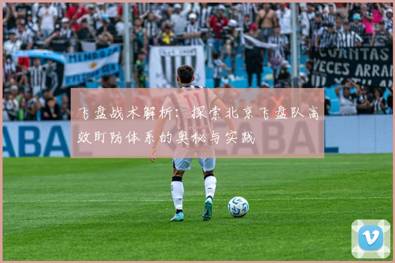 飞盘战术解析：探索北京飞盘队高效盯防体系的奥秘与实践