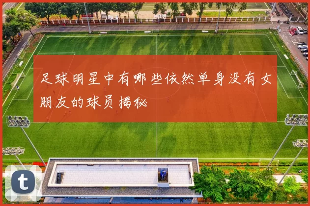 足球明星中有哪些依然单身没有女朋友的球员揭秘