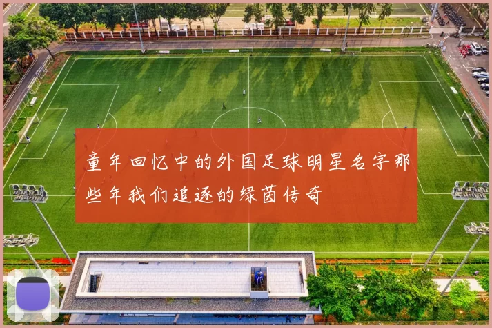 童年回忆中的外国足球明星名字那些年我们追逐的绿茵传奇