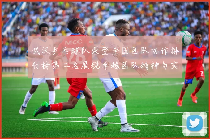 武汉乒乓球队荣登全国团队协作排行榜第二名展现卓越团队精神与实力