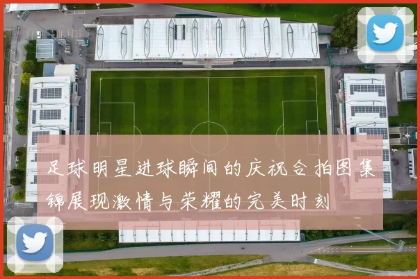 足球明星进球瞬间的庆祝合拍图集锦展现激情与荣耀的完美时刻