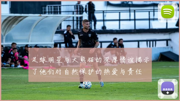 足球明星与大熊猫的深厚情谊揭示了他们对自然保护的热爱与责任