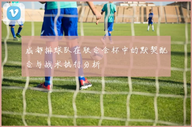 成都排球队在联合会杯中的默契配合与战术执行分析