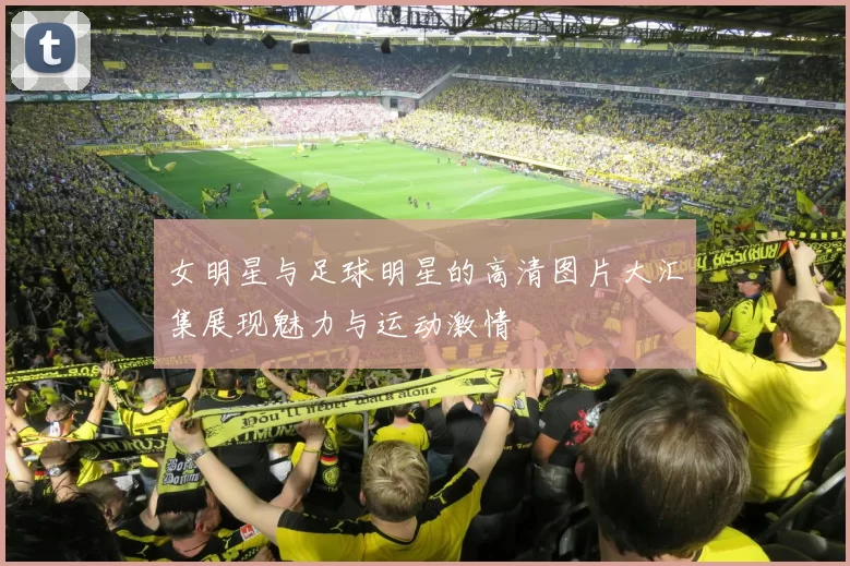 女明星与足球明星的高清图片大汇集展现魅力与运动激情