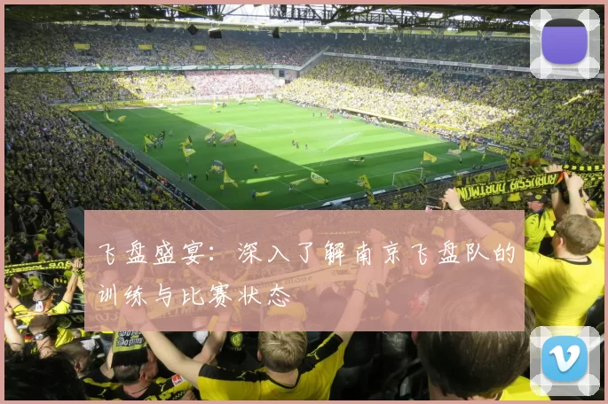 飞盘盛宴：深入了解南京飞盘队的训练与比赛状态