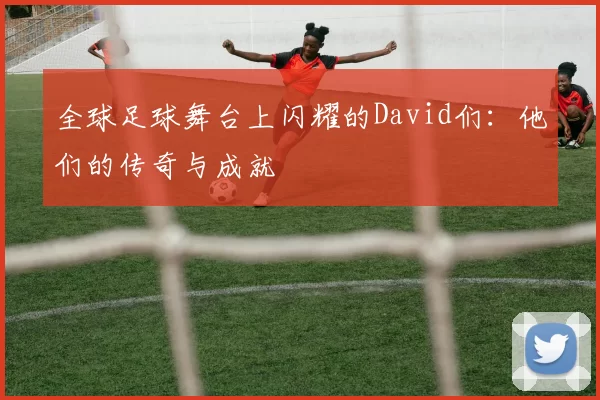 全球足球舞台上闪耀的David们：他们的传奇与成就