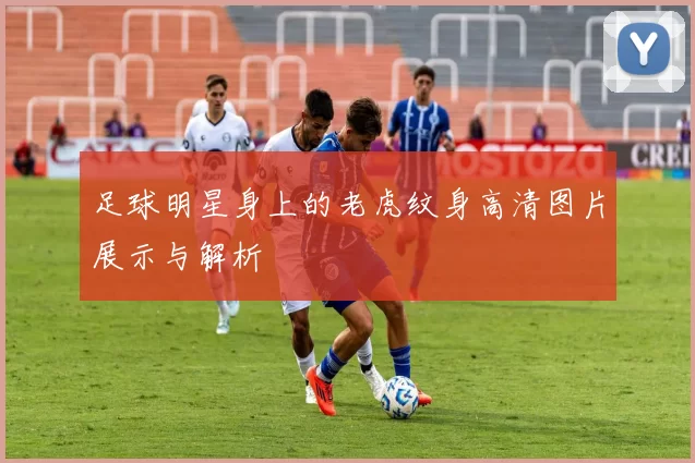 足球明星身上的老虎纹身高清图片展示与解析