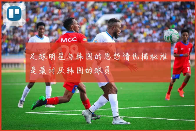 足球明星与韩国的恩怨情仇揭秘谁是最讨厌韩国的球员