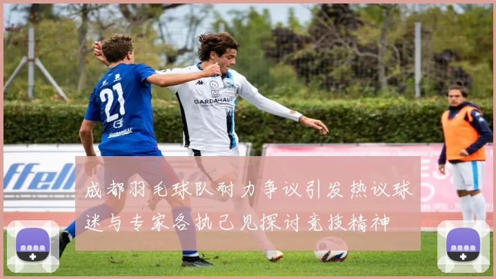 成都羽毛球队耐力争议引发热议球迷与专家各执己见探讨竞技精神