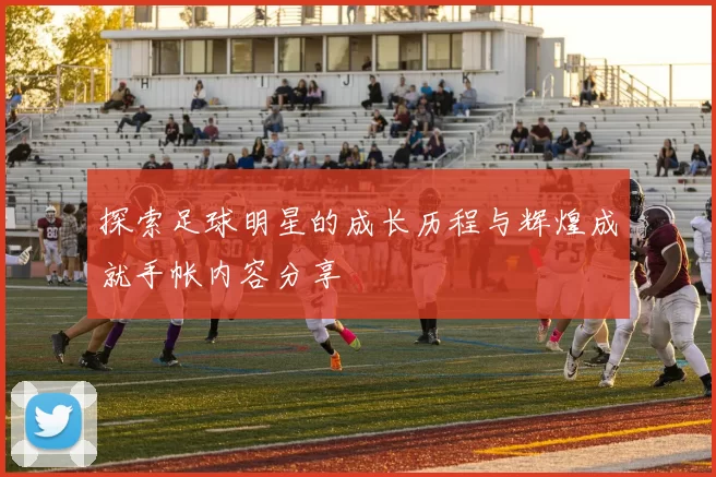 探索足球明星的成长历程与辉煌成就手帐内容分享