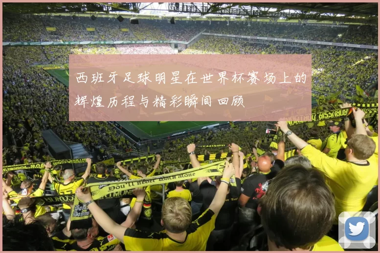 西班牙足球明星在世界杯赛场上的辉煌历程与精彩瞬间回顾