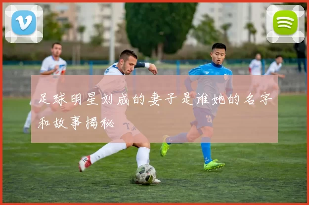 足球明星刘成的妻子是谁她的名字和故事揭秘