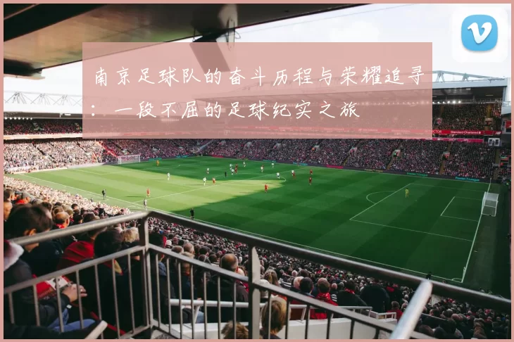 南京足球队的奋斗历程与荣耀追寻：一段不屈的足球纪实之旅