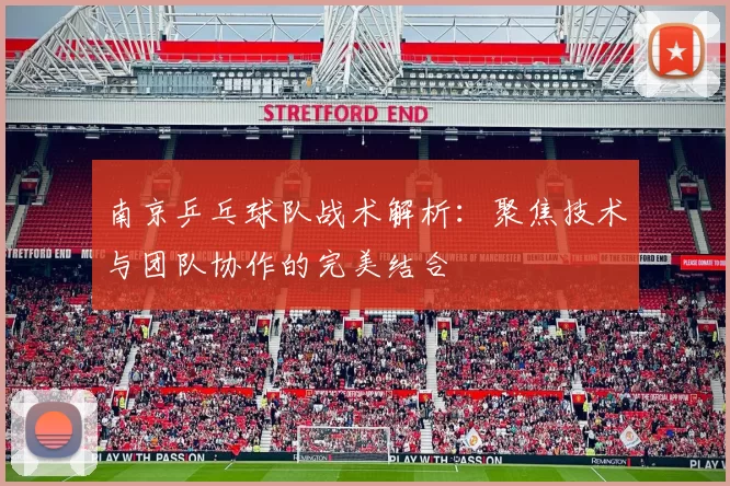 南京乒乓球队战术解析：聚焦技术与团队协作的完美结合