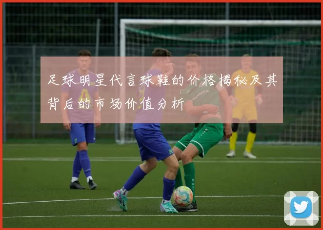 足球明星代言球鞋的价格揭秘及其背后的市场价值分析