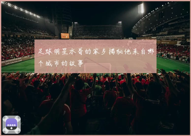 足球明星水哥的家乡揭秘他来自哪个城市的故事