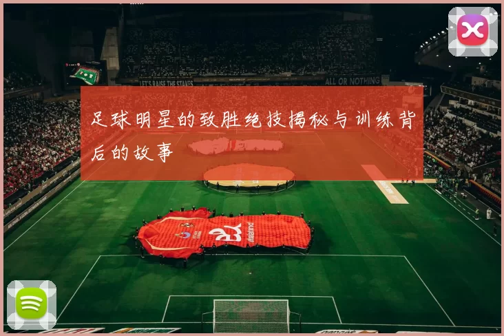足球明星的致胜绝技揭秘与训练背后的故事