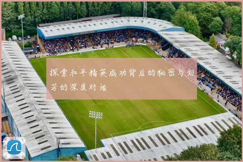探索和平精英成功背后的秘密与刘芳的深度对话