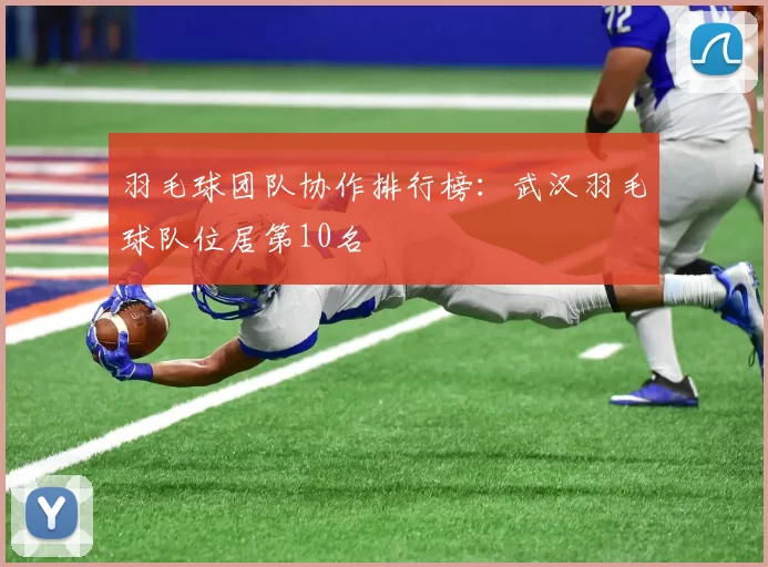 羽毛球团队协作排行榜：武汉羽毛球队位居第10名