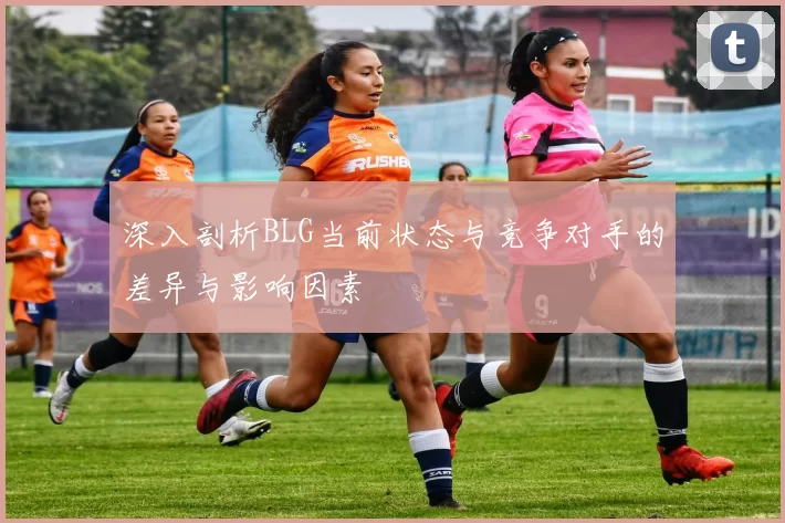 深入剖析BLG当前状态与竞争对手的差异与影响因素