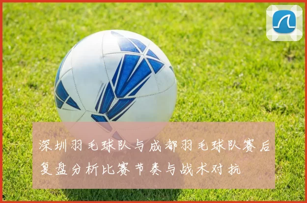 深圳羽毛球队与成都羽毛球队赛后复盘分析比赛节奏与战术对抗