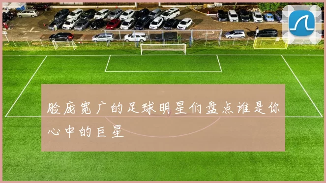 脸庞宽广的足球明星们盘点谁是你心中的巨星