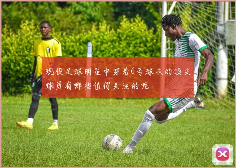 现役足球明星中穿着6号球衣的顶尖球员有哪些值得关注的呢