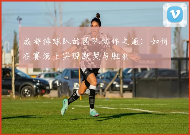 成都排球队的团队协作之道：如何在赛场上实现默契与胜利